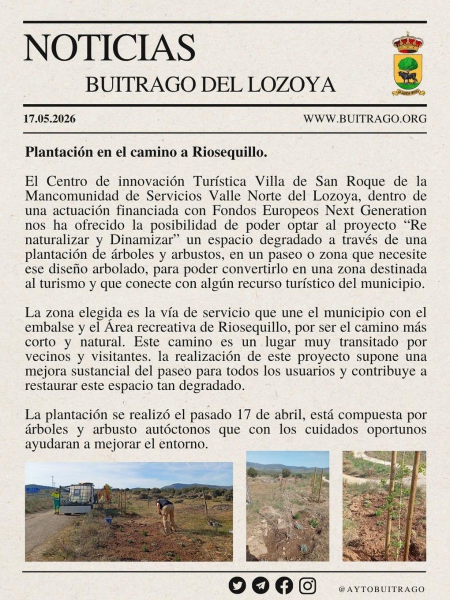 Plantación en el camino a Riosequillo