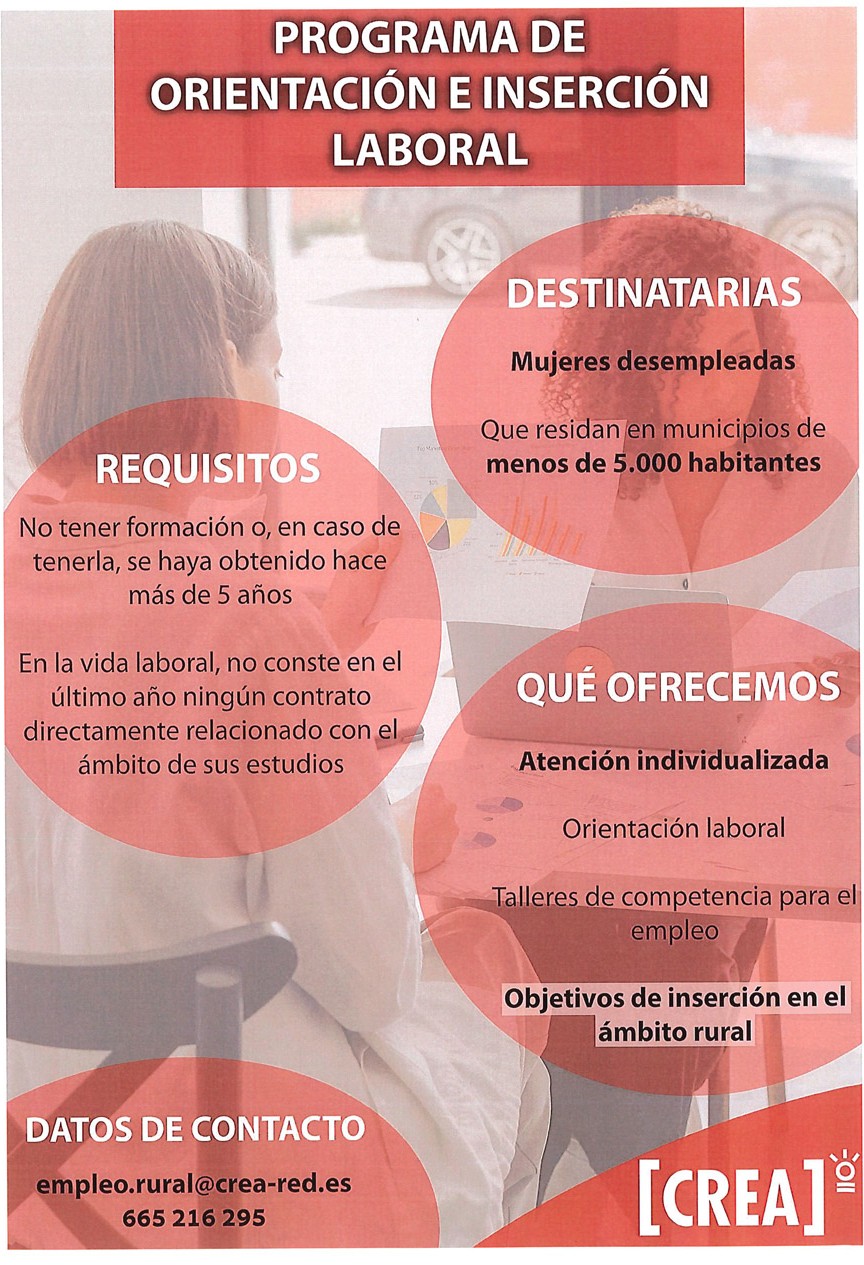 Programa de orientacion e insercion laboral