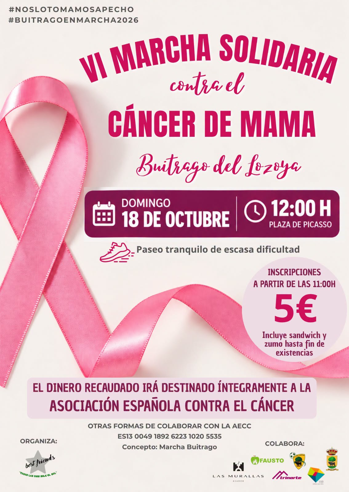 VI Marcha solidaria contra el cancer de mama
