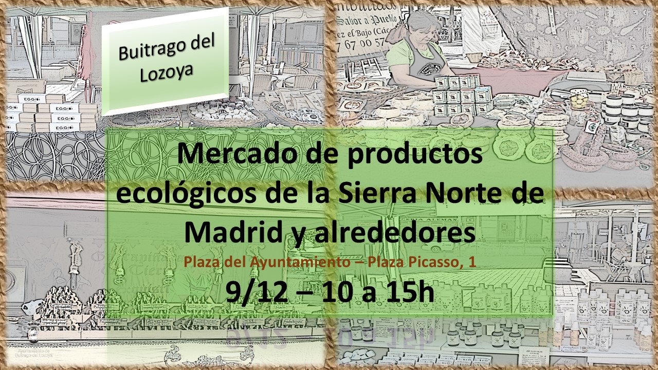 Mercado-ecologico-dic092017