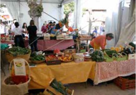 Mercado ecologico Buitrago 2